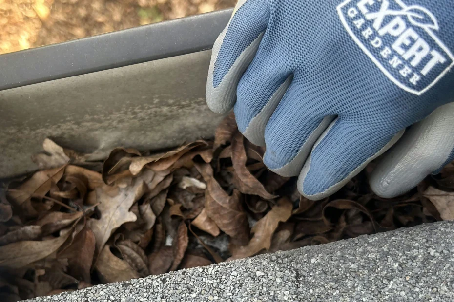 Gutter Cleaning Oldsmar