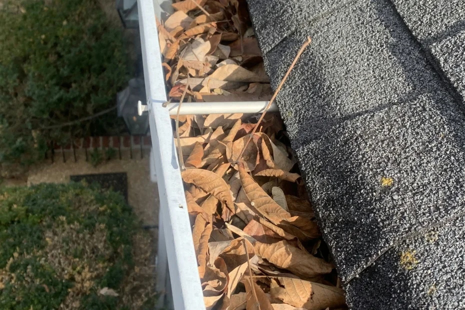 Gutter Cleaning Oldsmar