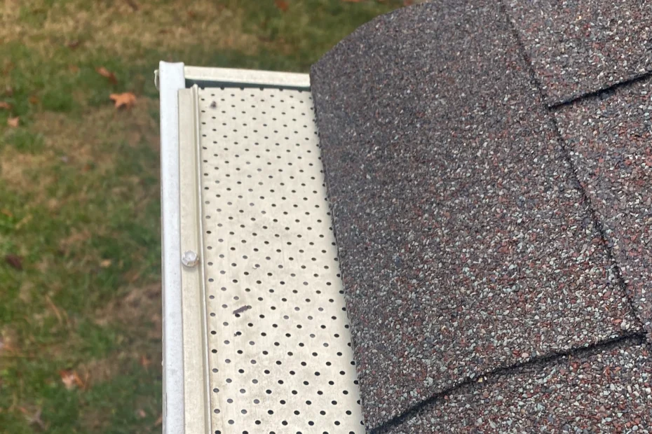 Gutter Cleaning Oldsmar