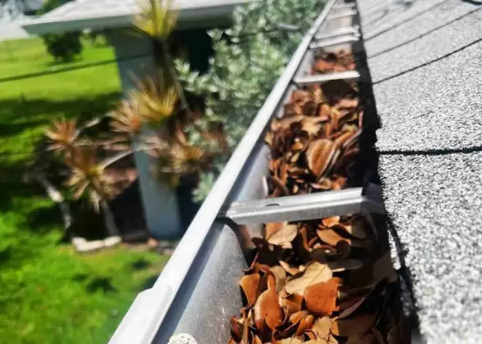 Gutter Cleaning Oldsmar home page